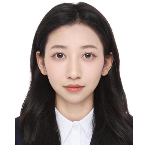 提供琵琶教學費用服務的專家HUIRONG WU