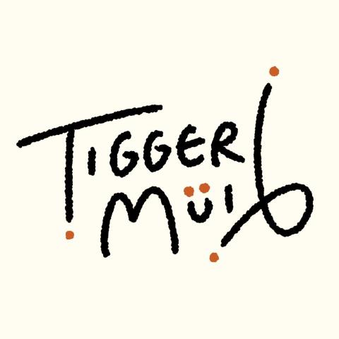 提供地台床連衣櫃設計服務的專家TiggerMui6