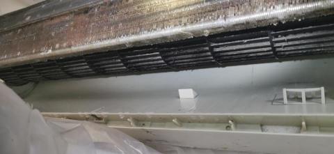 提供簡體字陳服務的專家陳师傅