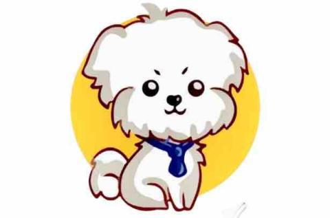提供瑜伽導師證書服務的專家Have Are pet shop