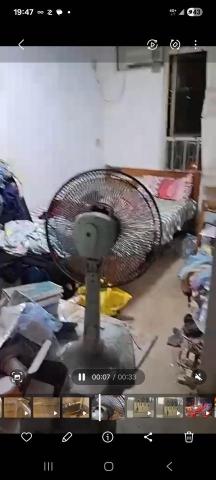 Tsz Yat Angus Ng - 大型家居清潔 前1 Tsz Yat Angus Ng - 大型家居清潔 前1