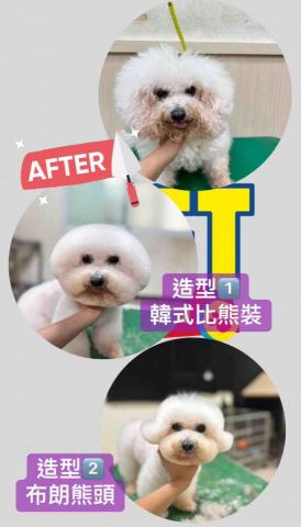 PetStory - 雙造型，韓式比熊裝，布朗熊裝