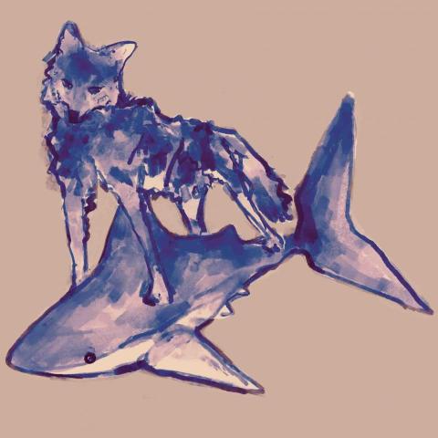 lsw - 狼與鯊魚 lsw - 狼與鯊魚