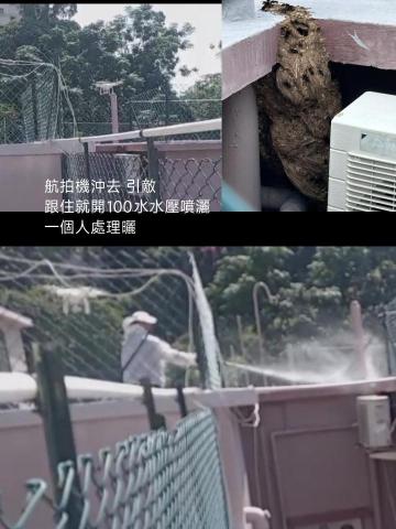 滅鼠 - 一個人操作  
(1)航拍機做引敵
(3)100水壓噴頭 滅鼠 - 一個人操作  
(1)航拍機做引敵
(3)100水壓噴頭