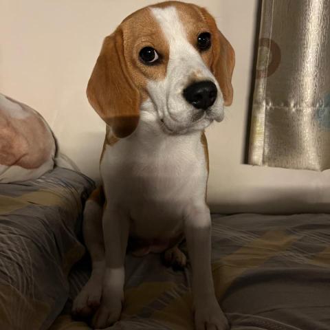 The pros providing kristeen chan instaJessie chan