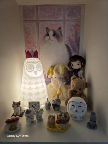 提供m1補習邊個好服務的專家Camay Yeung