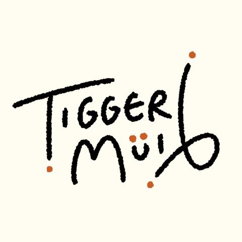 提供設計裝修介紹服務的專家TiggerMui6