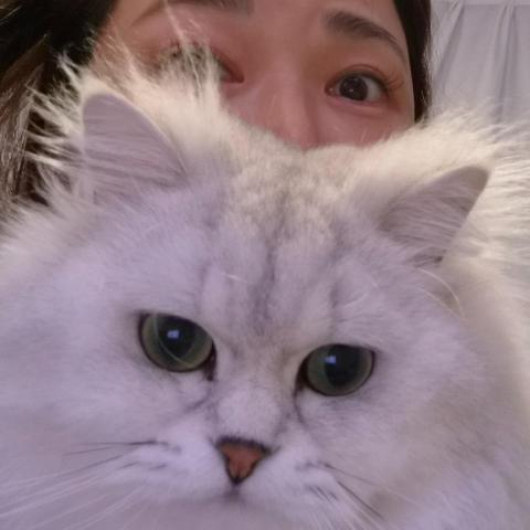 提供洗衣機 清潔 劑 大 眼 仔服務的專家si lam