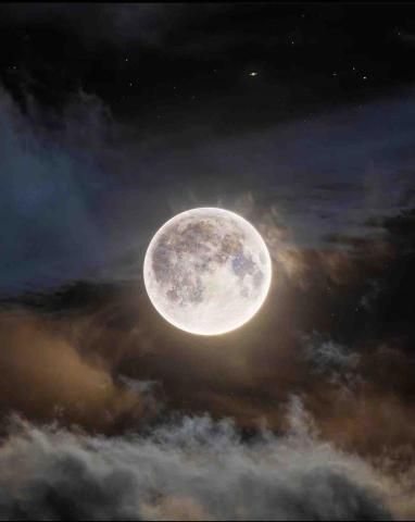 提供夏威夷小結他服務的專家beauty_Fi