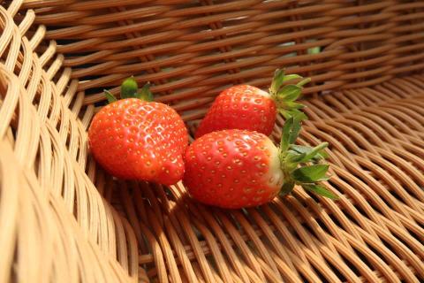 Haydon Yau - Product promote