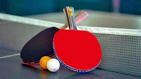 提供游泳教練名單服務的專家蔡敖天