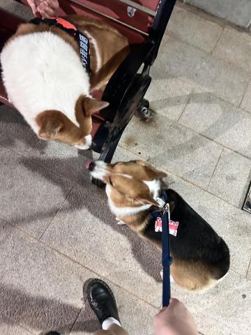 Geneva - 在充滿樂趣和活力的工作中學習成長，取得經驗