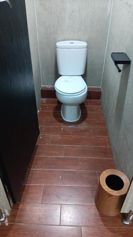 雄偉工程公司 - 更換坐廁