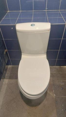 陳其永 - 更換坐厕全套