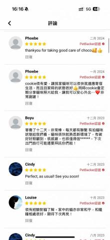 cat_ssitter 香港貓保母 - 