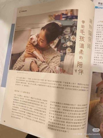 cat_ssitter 香港貓保母 - 青協寵物貓保母訪問