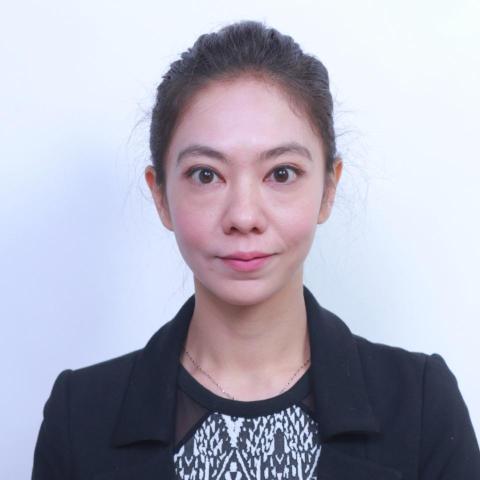 提供市場分析公司服務的專家飛雅晴