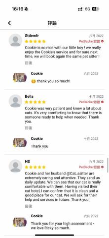 cat_ssitter 香港貓保母 - 