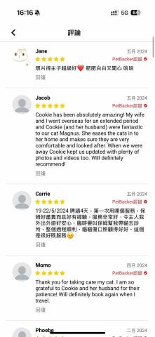 cat_ssitter 香港貓保母 - 