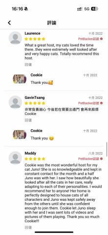 cat_ssitter 香港貓保母 - 