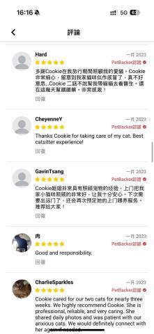 cat_ssitter 香港貓保母 - 