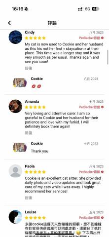 cat_ssitter 香港貓保母 - 