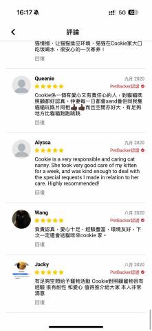 cat_ssitter 香港貓保母 - 