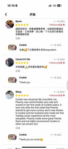 cat_ssitter 香港貓保母 - 