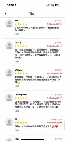 cat_ssitter 香港貓保母 - 