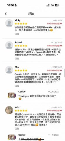 cat_ssitter 香港貓保母 - 