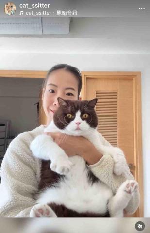 cat_ssitter 香港貓保母 - 
