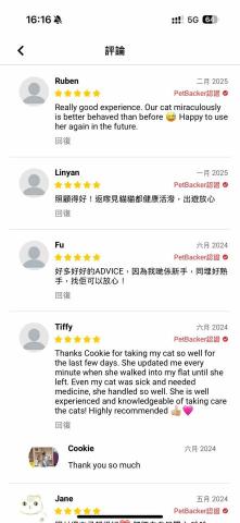 cat_ssitter 香港貓保母 - 