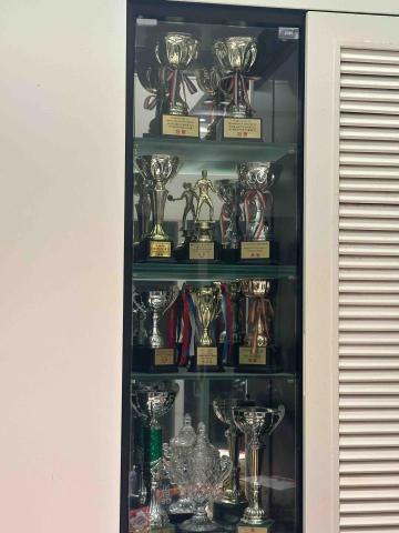 張文廸 - 　部份獎項