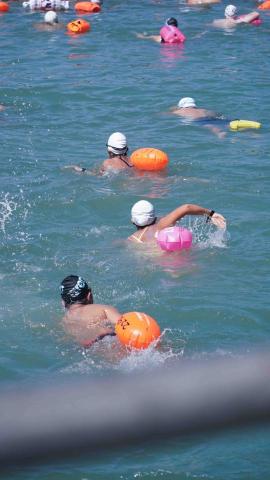 提供包括服務的專家Pinky