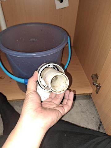 Tsz Yat Angus Ng - 清理中 1