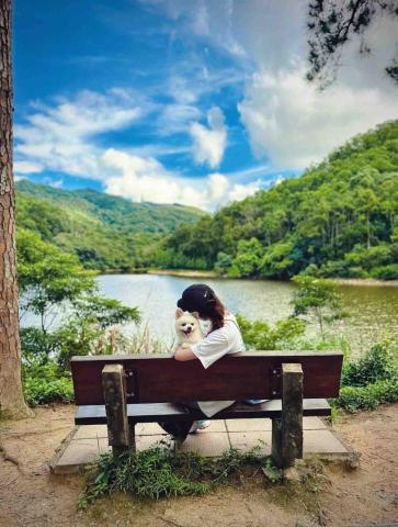 提供專業搬運公司服務的專家ICY小尾巴部落