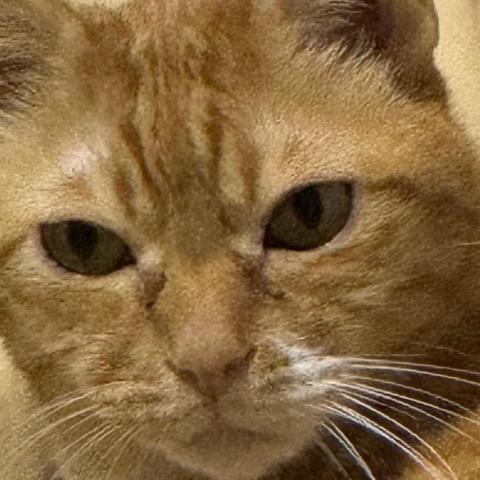 提供客厅設計服務的專家Jolene