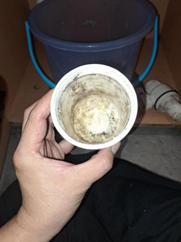 Tsz Yat Angus Ng - 清理完成