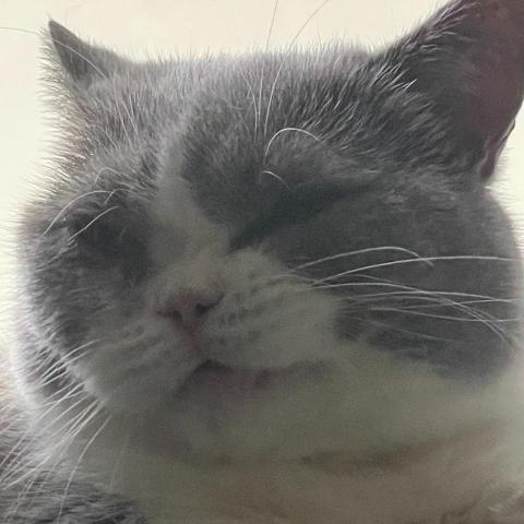 提供江西吉安怎么约试睡员短期女友?+-+吉安试睡员.✔️tianxin.qpon服務的專家kuri