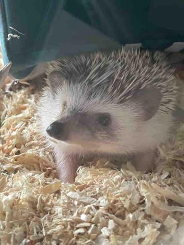 提供淘宝社工库查询某个人名下所有车辆信息.尖端的全国信息调查红鼻子社工库✔️ttgg.shop服務的專家Tin