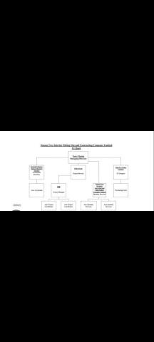 Season Tree Interior Fitting Out and Contracting - 