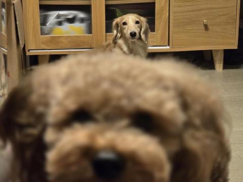 提供秘密查询淘宝收货地址及淘宝购物记录,运营最好的内部兼职黑盒社工库✔️haola.help服務的專家MT