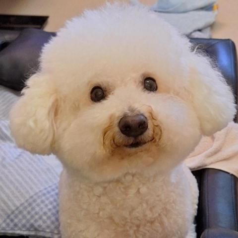 提供維修冷氣整冷氣服務的專家Dion 