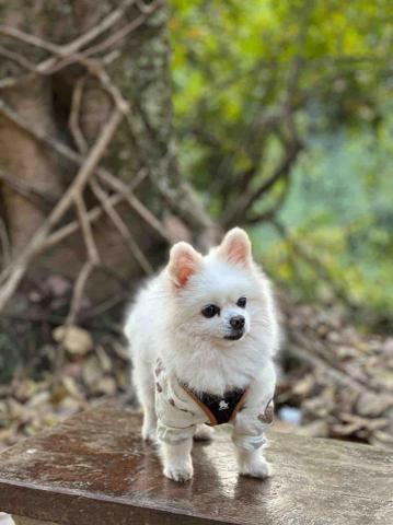ICY小尾巴部落 - I enjoy outdoor activities