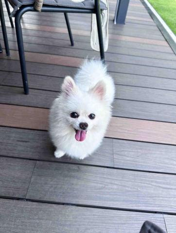 ICY小尾巴部落 - I&rsquo;m a good kid to my mom and I&rsquo;m 13 years old.