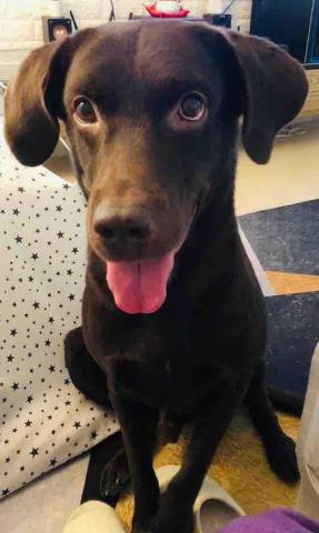 ICY小尾巴部落 - Jacky笑容太治愈了，好像在說：有我在，一切都會好起來