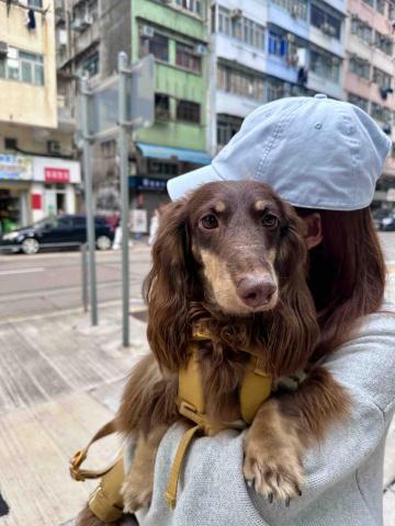 ICY小尾巴部落 - Hey everyone, it&rsquo;s Tongtong! I&rsquo;m a cute boy.  
