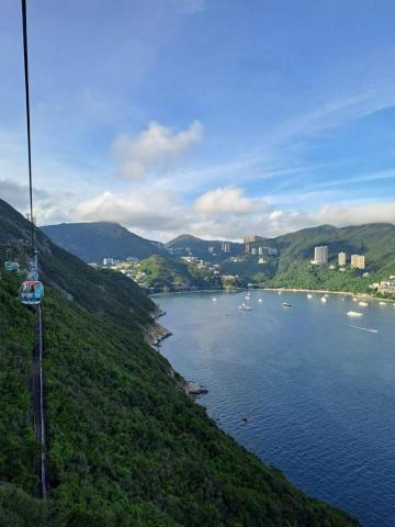 The pros providing pet groomingAva