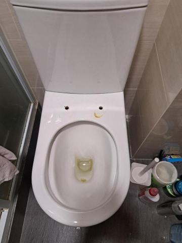 Tsz Yat Angus Ng - 拆除舊廁板及?走壞螺絲