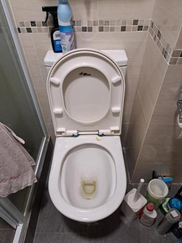 Tsz Yat Angus Ng - 裝上新廁板，完成